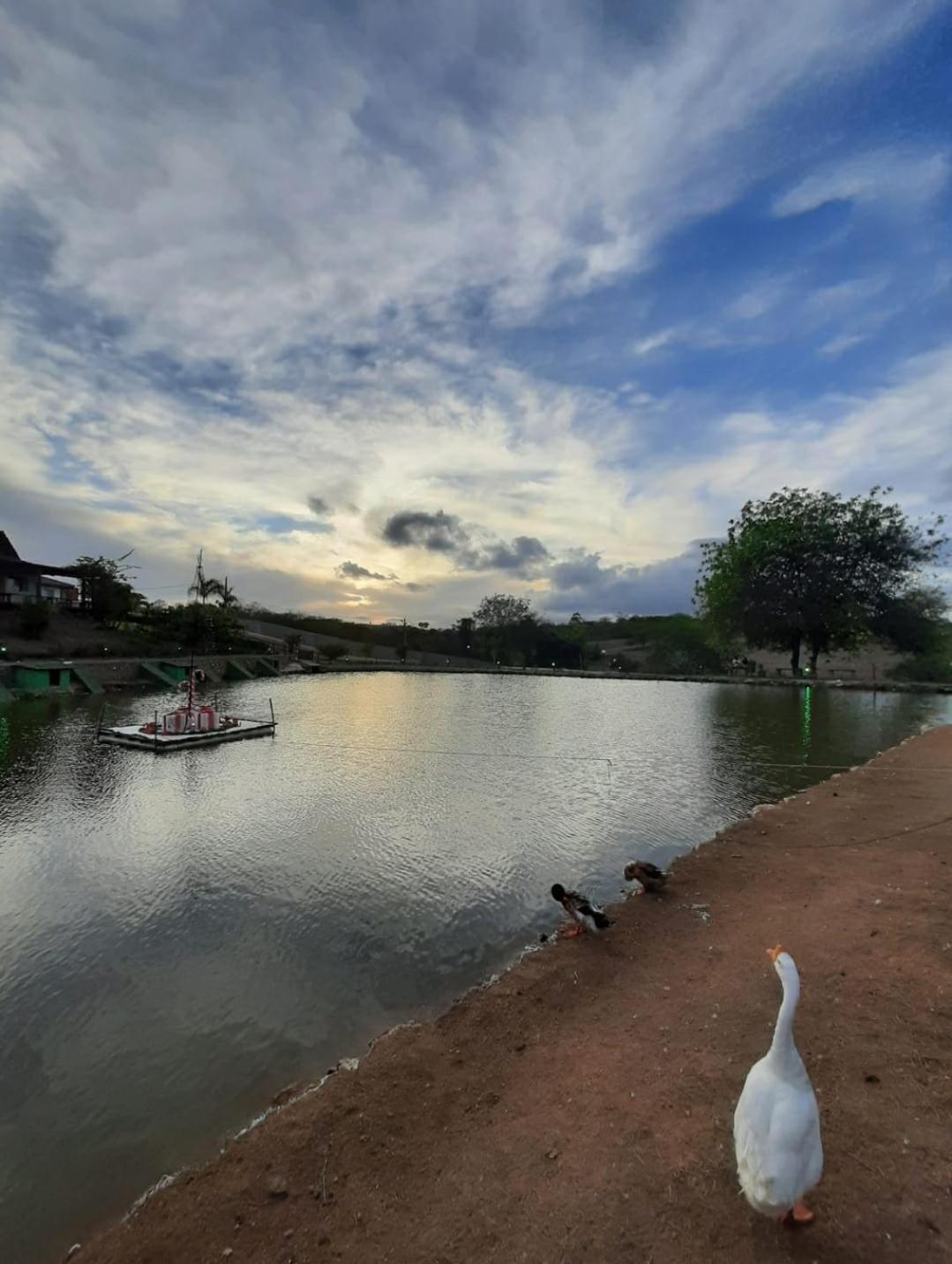 Flat Com Vista Magnifica! Winterville Gravata Pe ภายนอก รูปภาพ